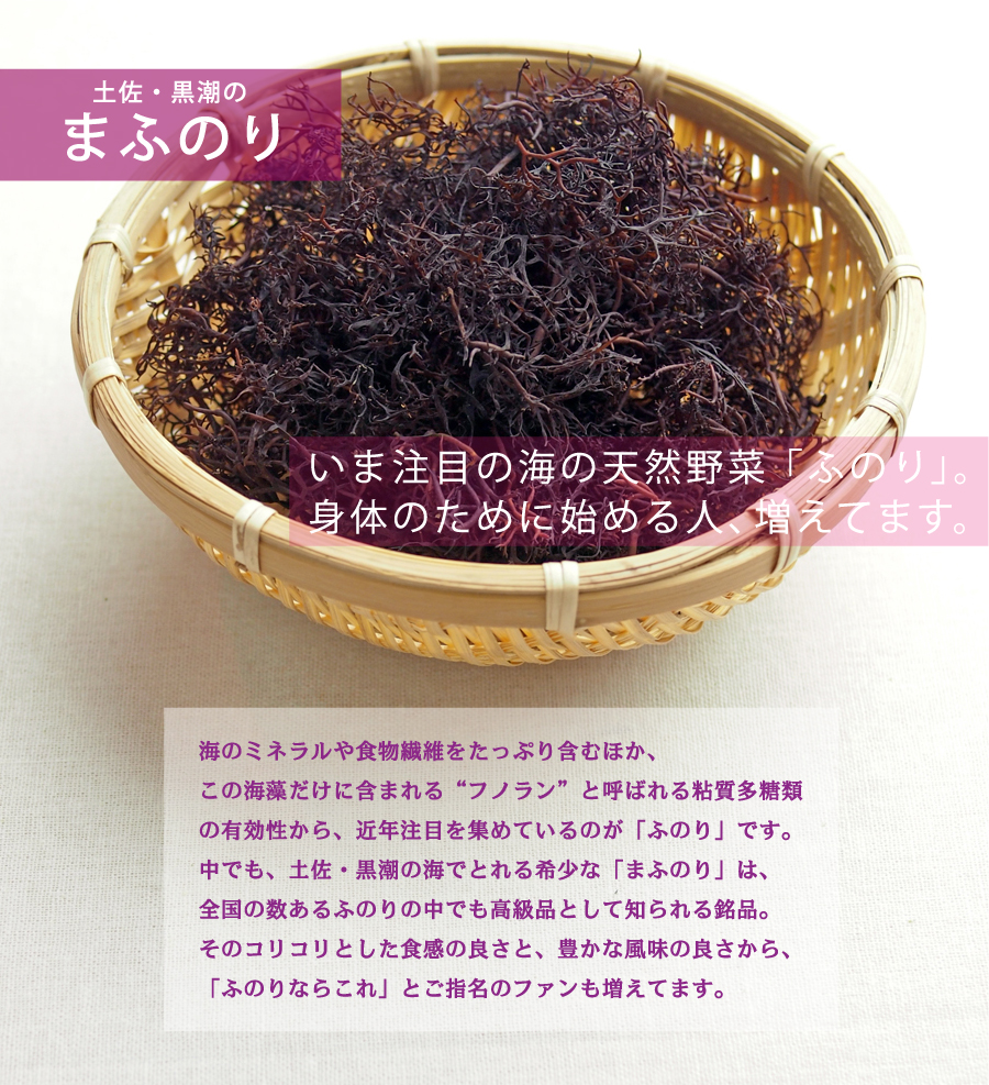 ふのり特集 | ザマうま